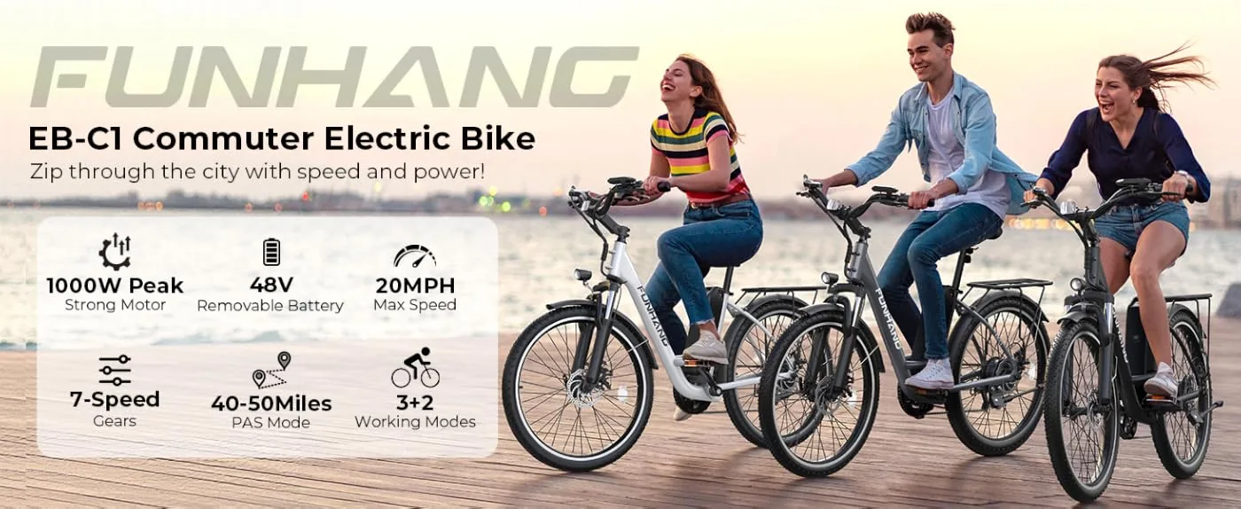 funhang city cruiser e bike content 0