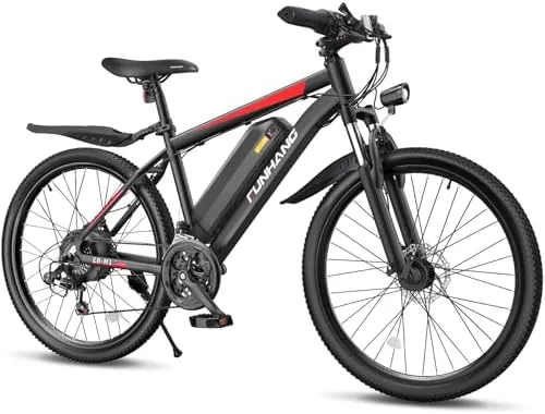 funhang electric mountain bike category